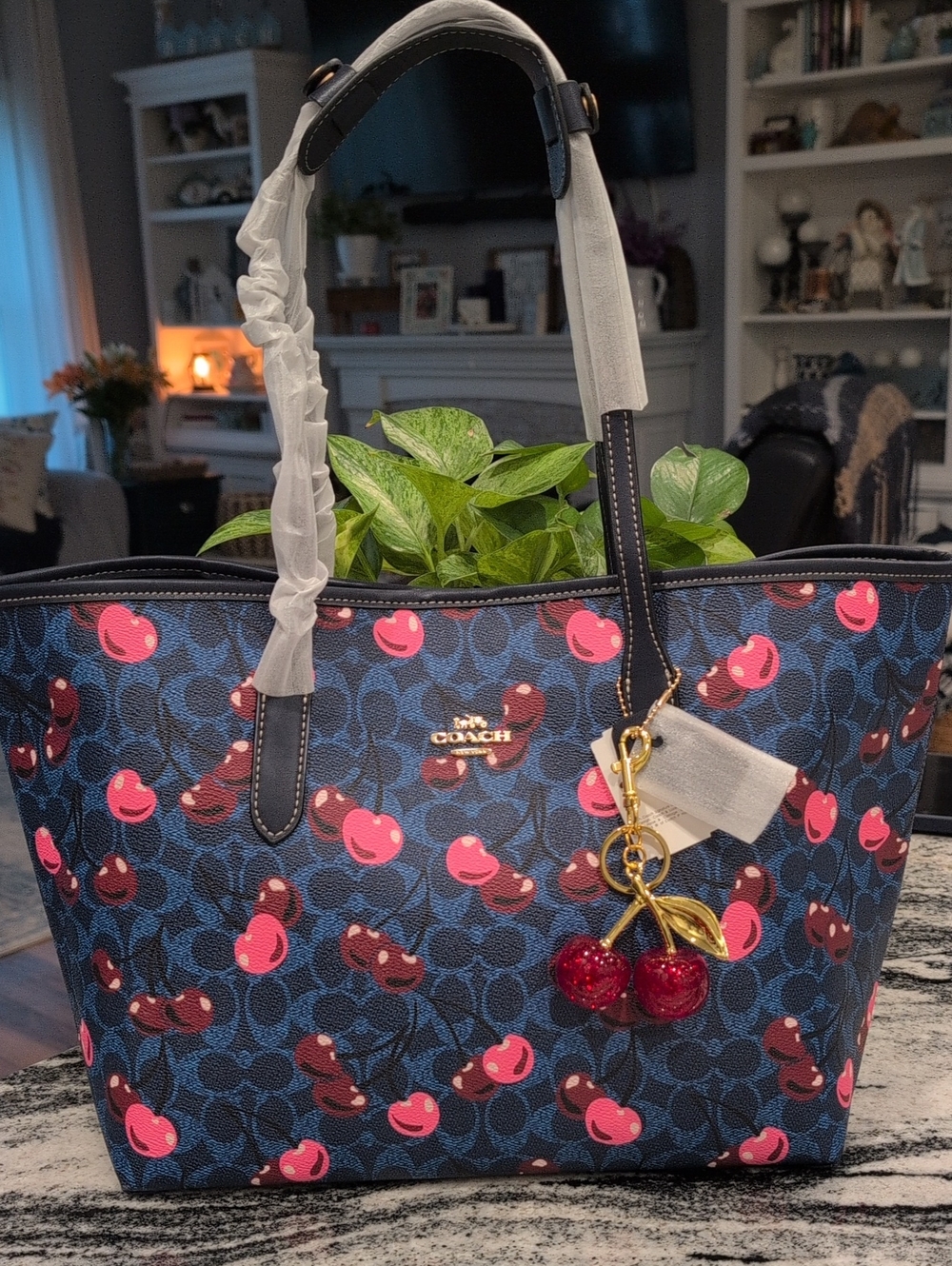 Coach City Tote Bag In Cherry Print